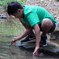 Boy exploring creek